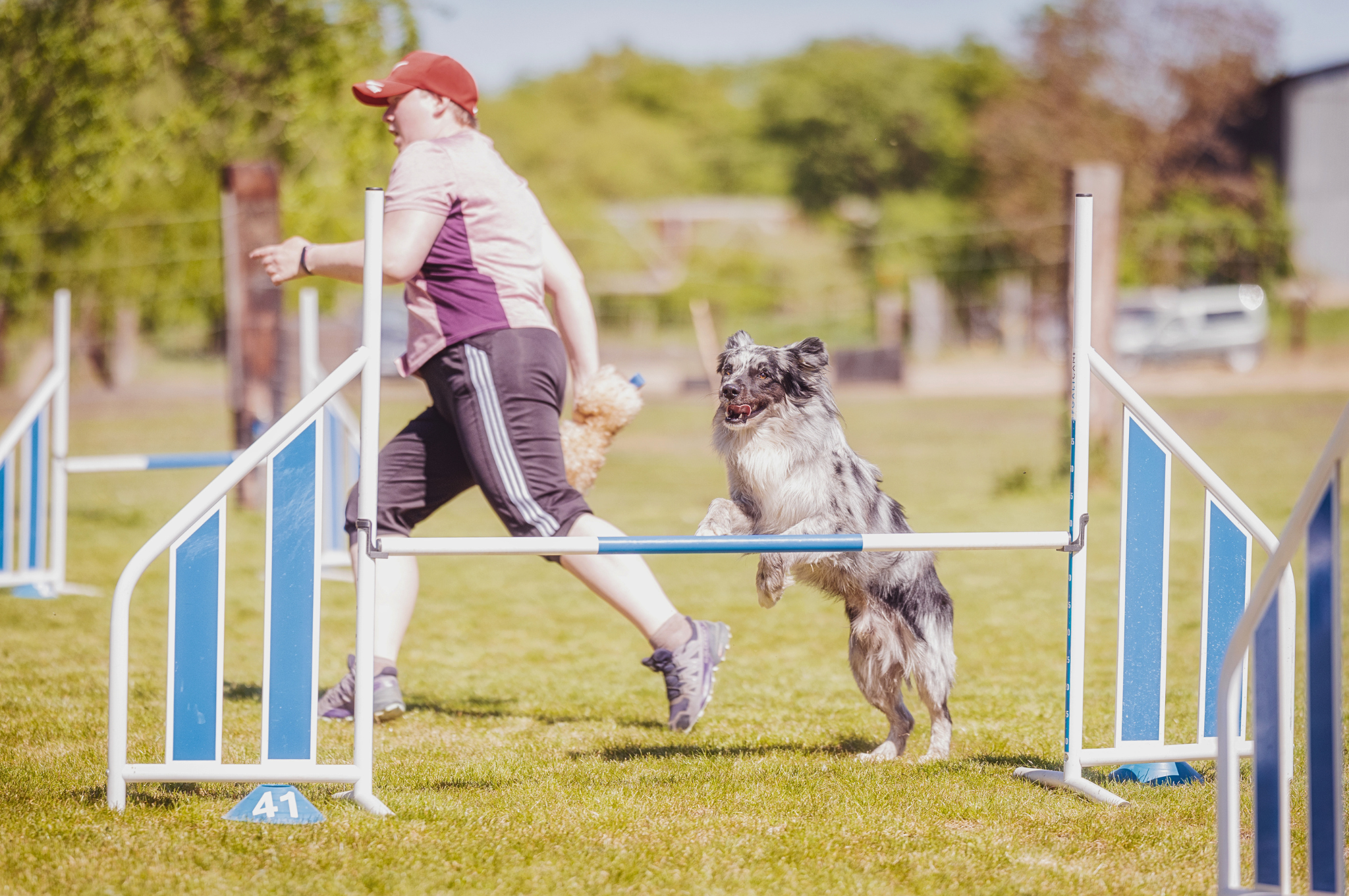 agility trening